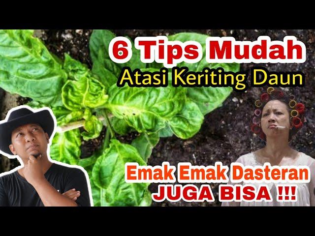 6 Trik Atasi Keriting & Kerdil, Emak pun Bisa 