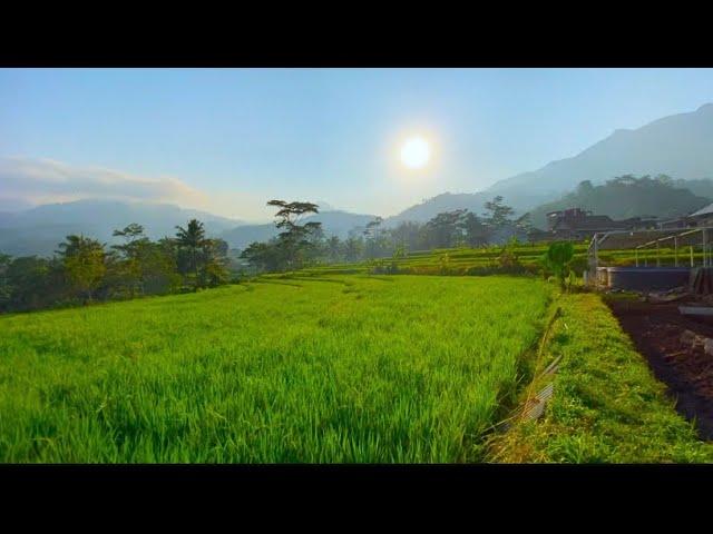 LUKISAN DESA ITU NYATA,  INDAH MENDAMAIKAN DI LERENG GUNUNG ANDONG DAN TELOMOYO, DUSUN WATUANTEN