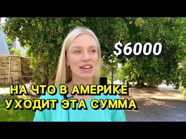 СКОЛЬКО СТОИТ ЖИЗНЬ В МАЙАМИ | СРАВНЕНИЕ С МИННЕСОТОЙ