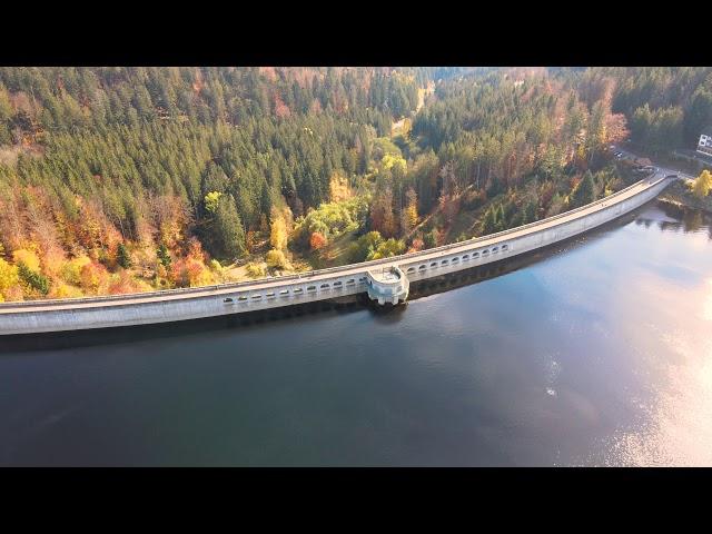 Mystical Black Forest | 4K | Drone