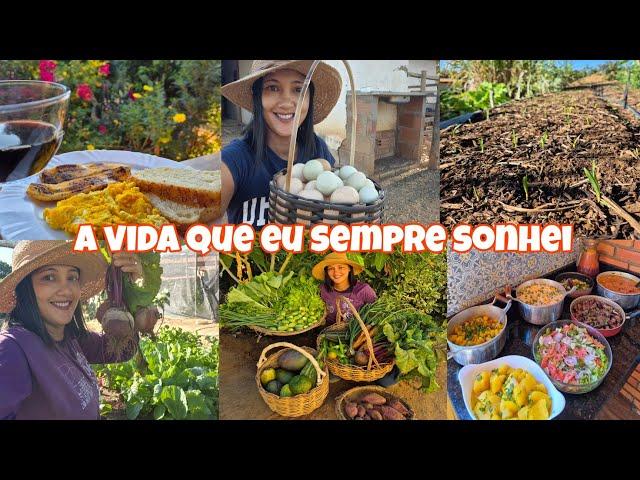 Dia muito produtivo | acordei cedo pra cuidar de tudo | colheita na horta e pomar| almoço rápido e +