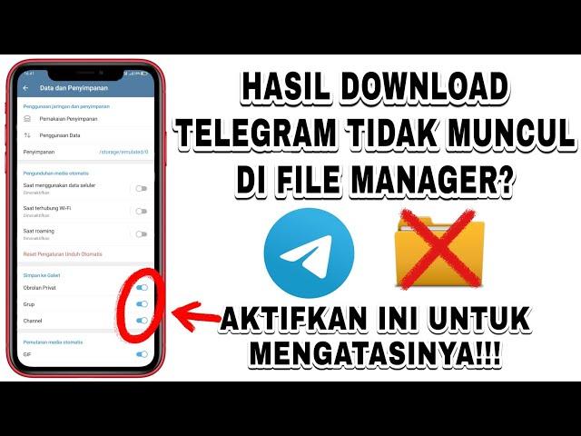 Hasil Download Telegram Tidak Muncul di File Manager? | Begini Cara Mengatasinya Agar Muncul!!!