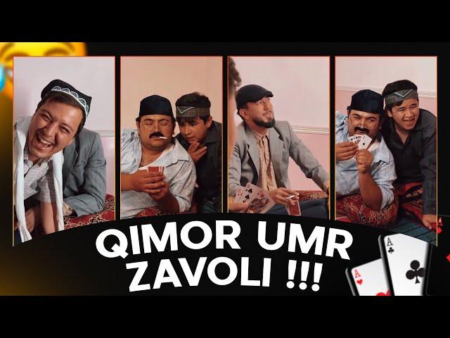 Mittivine | Qimor umr zavoli ️️️