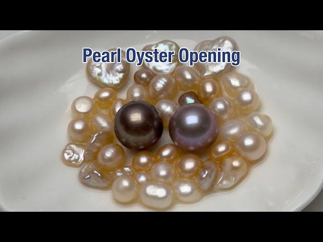 ASMR Demon Pot Freshwater Pearl Oyster Opening