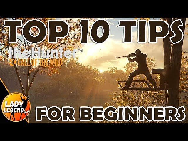 TOP 10 TRICKS & TIPS for BEGINNERS in The Hunter Call of the Wild 2024!!!