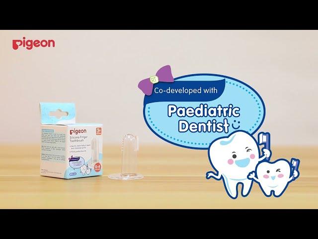 Pigeon Silicone Finger ToothBrush How to use Video EN