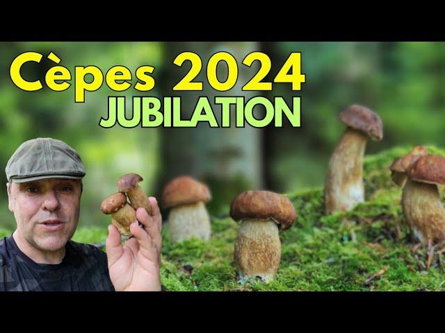 Cèpes 2024  Jubilation  La pousse démarre.  Des indices #cepes #asmr #nature