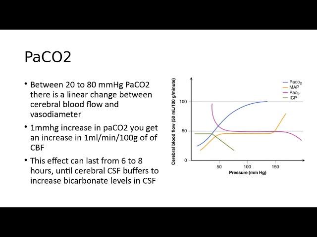 Cerebral blood flow and its control