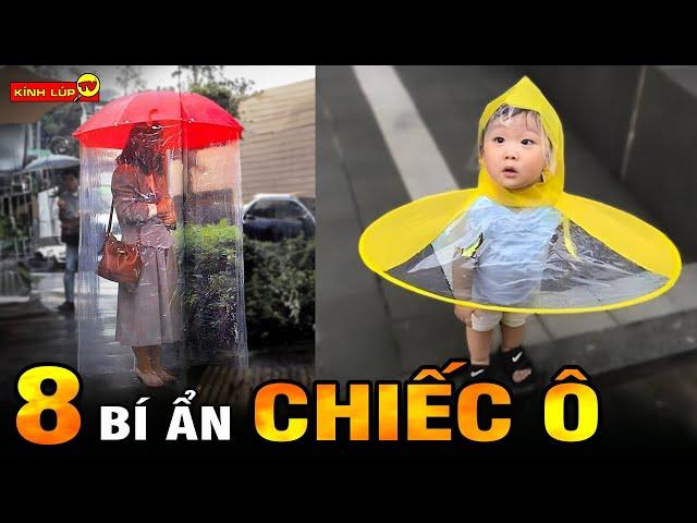  8 Bí Ẩn Ly Kỳ Và Thú Vị về Chiếc Ô Mà Chưa Ai Nói Đầy Đủ Cho Bạn Biết I Kính Lúp TV