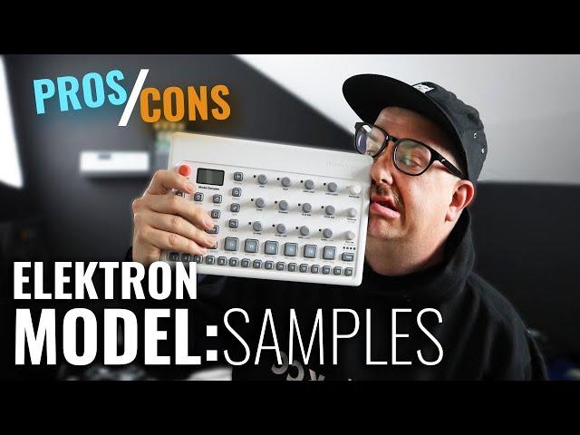 PROS AND CONS OF THE MODEL: SAMPLES FROM ELEKTRON