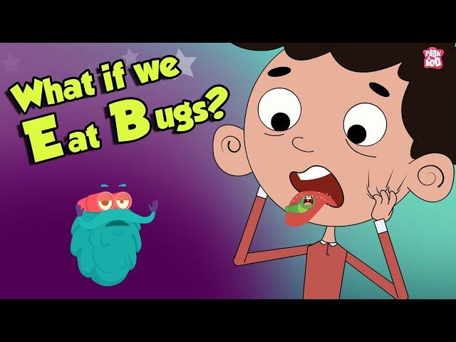 What If We Eat Bugs? | EATING BUGS | Dr Binocs Show | Peekaboo Kidz