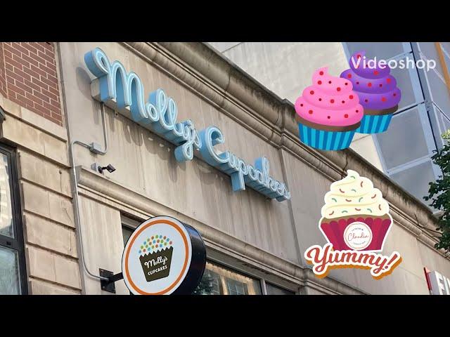 Molly's Cupcakes| Chicago's Iconic Dessert| Best Cupcakes| Cupcake wars| Sisters Forever