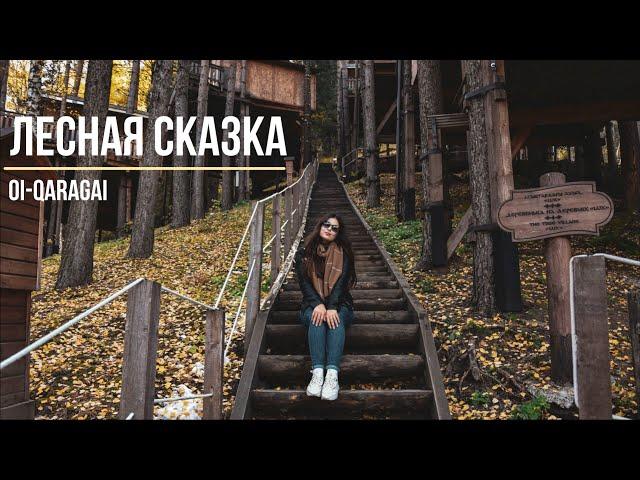 Курорт Лесная сказка | Oi-Qaragai