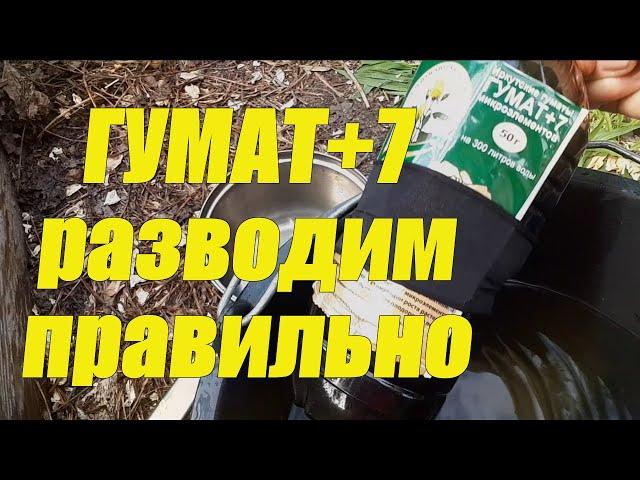 КАК СДЕЛАТЬ маточный раствор ГУМАТА +7   Как сделать  раствор ФИТОСПОРИНА   ПОДКОРМКА ОГУРЦОВ