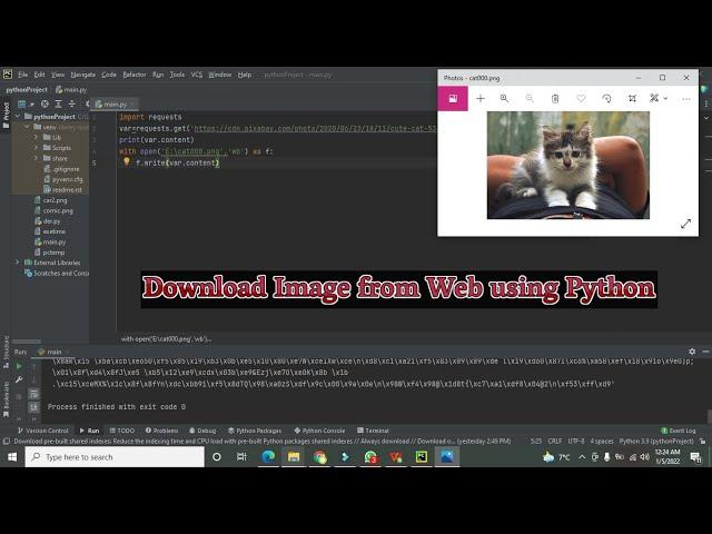 download an image with get request from web URL in python