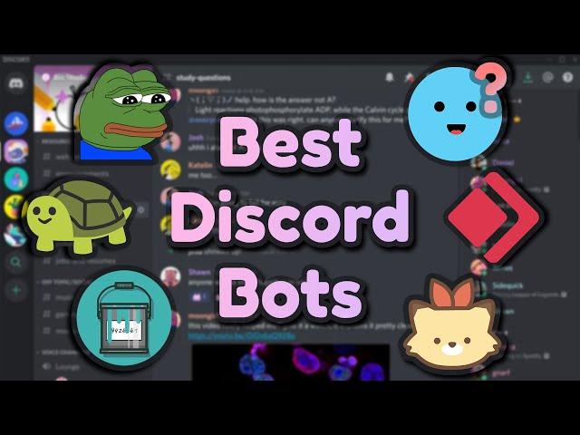 The Best Discord Bots for Your Server!