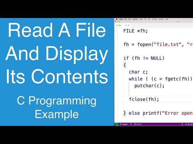 Read A File And Display Its Contents | C Programming Example