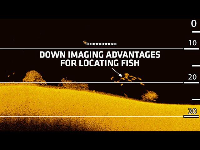 Down Imaging Advantages for Locating Fish
