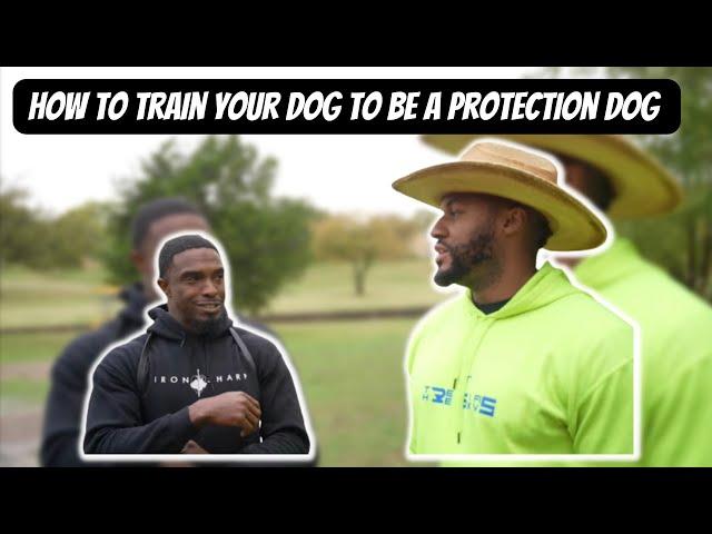 How to Turn your Dog into a Protection Dog