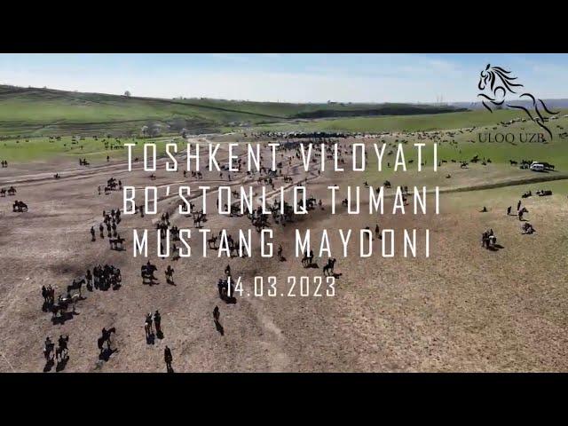 ASTANA OT EGASI ABDUALIMXOJIBOBO NABIRALARINING ULOQ KO’PKARISI FULL HD TO’LIQ DRON VIDEO 14.03.2023