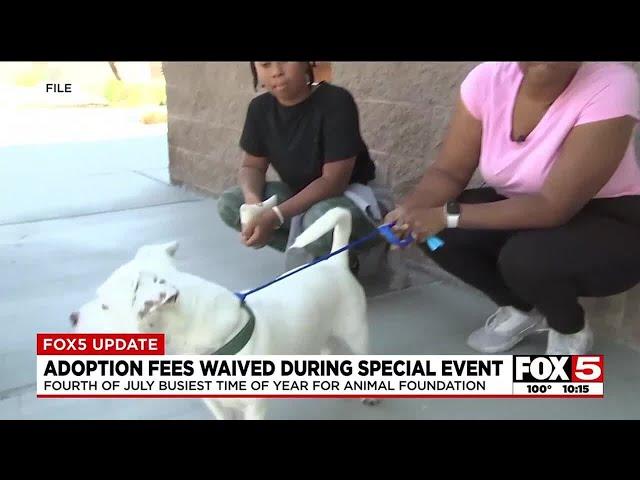 Fees waived during Animal Foundation adoption event to make space in shelter ahead of Fourth of J...