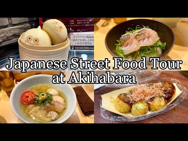 Japanese Street Food Tour along with Travel Spots at Anime Town Akihabara [Japan Travel Guide]