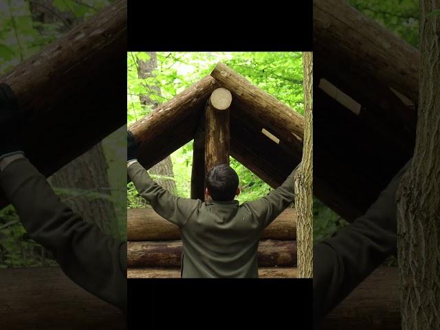 Building a Log Cabin in the Woods from Wind-Fallen Trees | FULL VIDEO ON MY CHANNEL