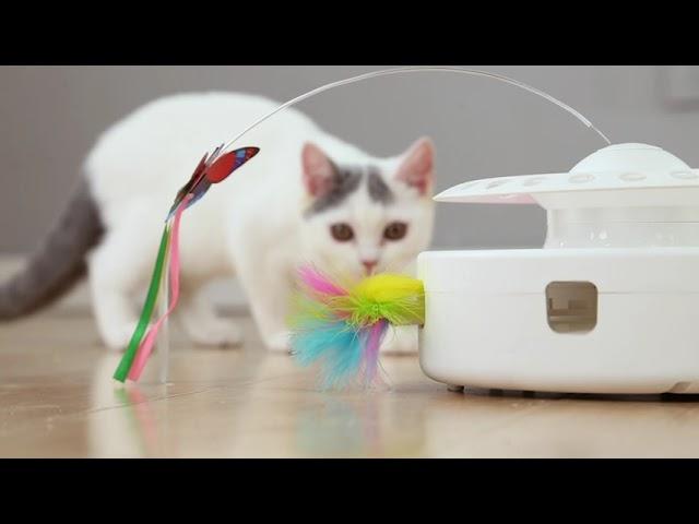 Potaroma Cat Toys 3 in 1 Automatic Interactive Kitten Toy