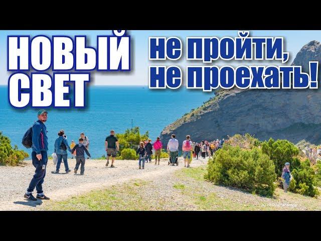 Crimea. New World. Crowds on Cape Kapchik! Juniper grove and sea. Rest in Crimea 2019