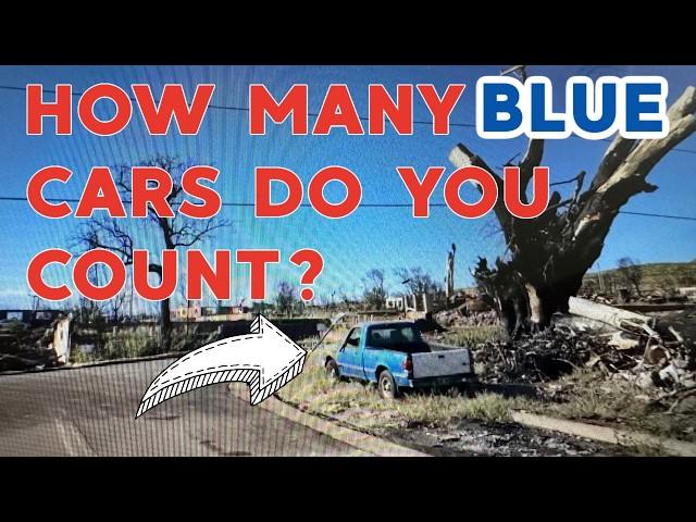 Does BLUE Equal DEW? *Exclusive Never Before Seen Footage* 9 Months After the Lahaina, Maui Fire