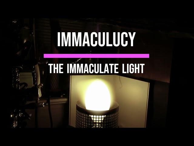 The Bright White IMMACULATE Light (400 watts)  Mercury Lantern!