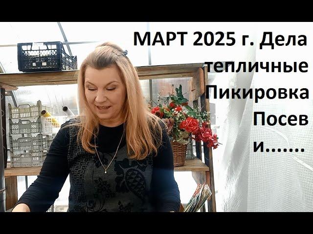 Март 2025 г. Дела тепличные. Готовимся к новому урожаю.