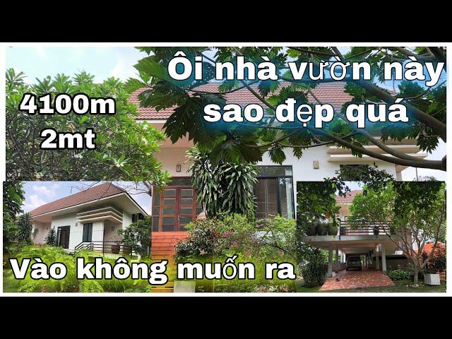 Việt Kều Về Lại Mỹ Bán Căn Nhà Vườn Đẹp Lung Linh Vườn Cây Ao Cá Đẹp Mê Ly . LH 0961636288