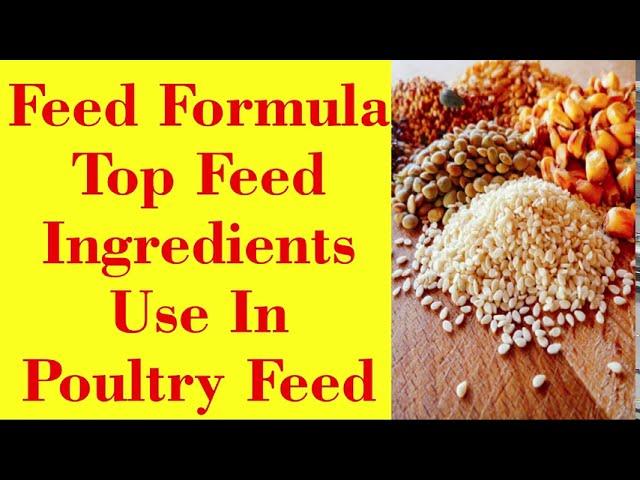 Poultry Feed Feed Formulation | Top Feed Ingredients