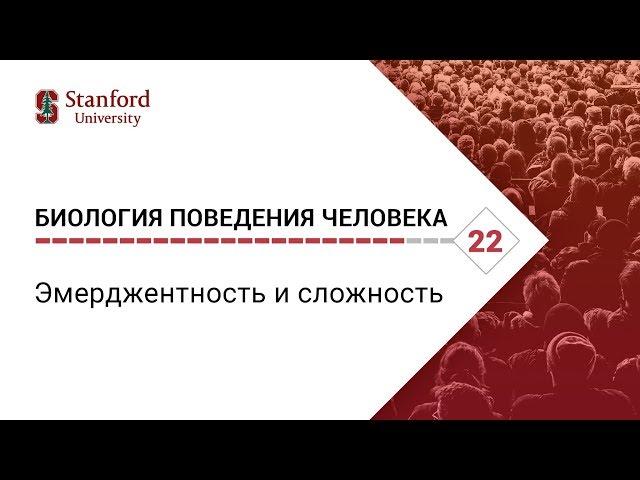 Биология поведения человека: Лекция #22. Эмерджентность и сложность [Роберт Сапольски. Стэнфорд]