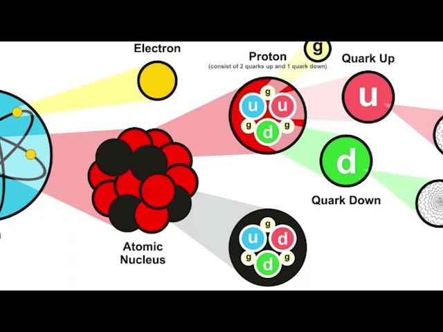 الكوارك | Quarks