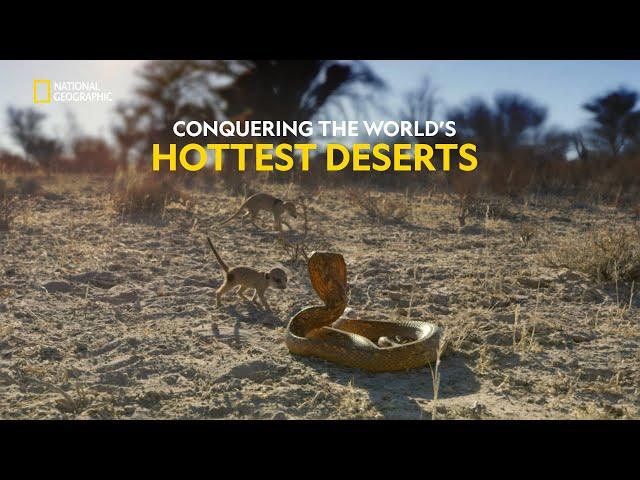 Survival in the Desert | Hostile Planet | हिंदी | S1 - E4 | Nat Geo Wild