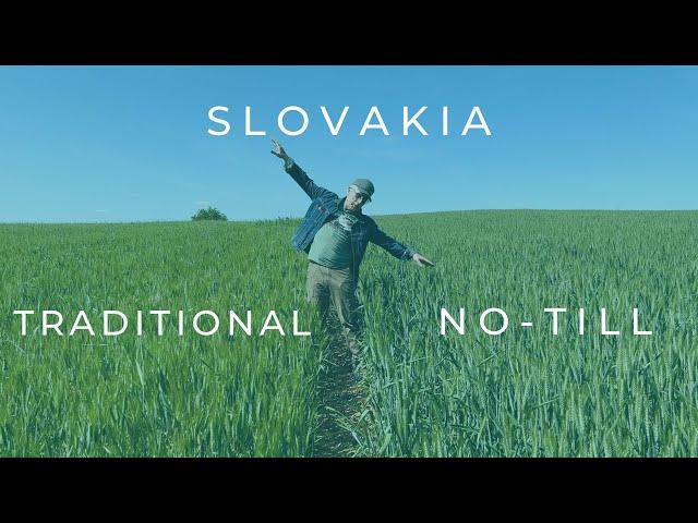 Traditional vs No-till | Умные люди работают по нулю | No-till в Словакии