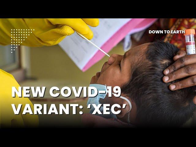 Why is the new COVID-19 variant, XEC, 'more contagious'?