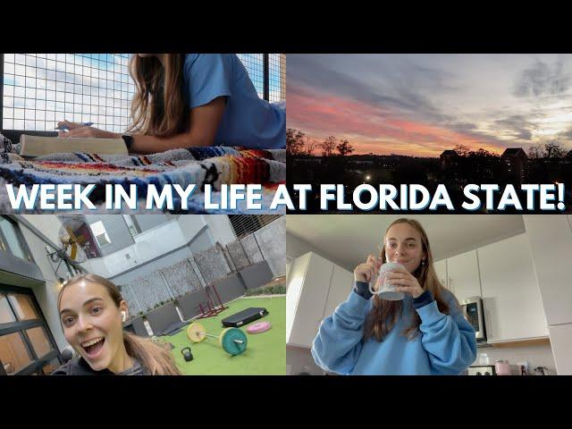 week in my life at Florida State University 2024!