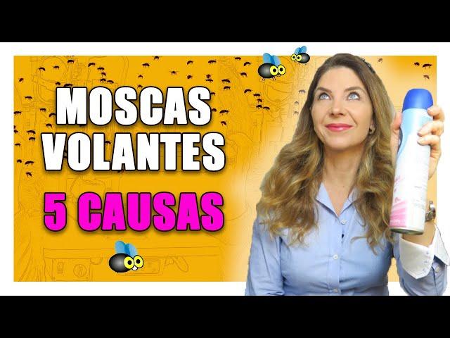 Moscas Volantes - 5 Causas das Moscas Volantes