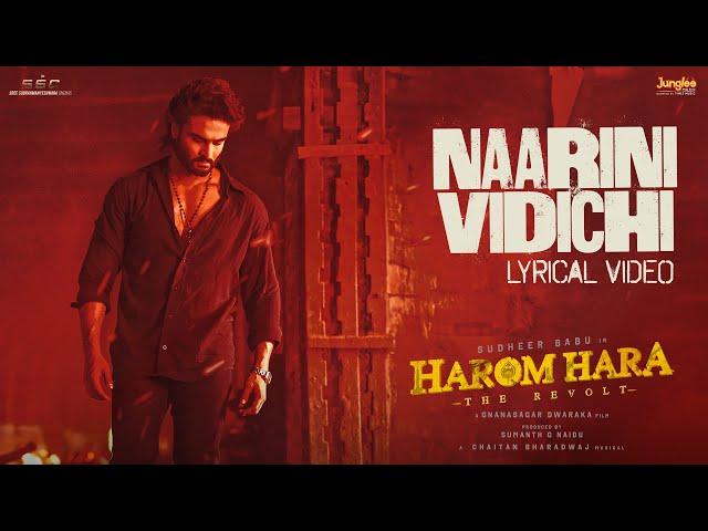 Naarini Vidichi | Lyrical Video | Harom Hara | Sudheer Babu | Malvika | Gnanasagar| ChaitanBharadwaj