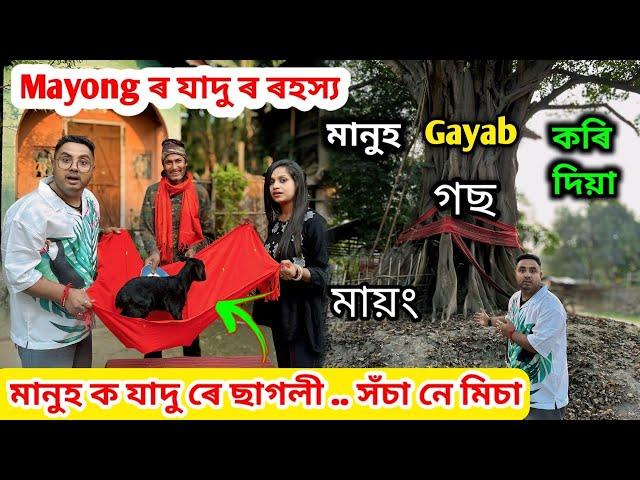 Mayong ত যাদু ৰে মানুহ ক ছাগলী বনাব পাৰে নেকি .. মায়ং ৰ মানুহ Gayab কৰি দিয়া গছ