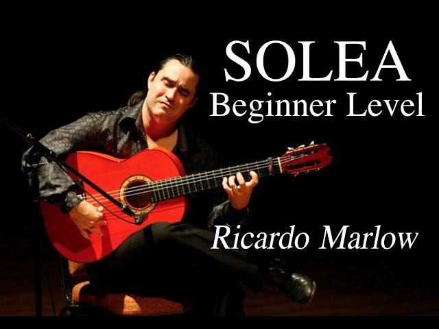 EliteGuitarist.com - Solea for Beginners Flamenco Guitar Lesson - Ricardo Marlow 1/7