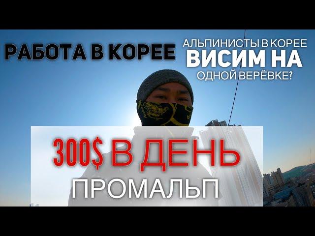 18 тысяч рублей в день. Работа в Южной Корее 2020. Промальп