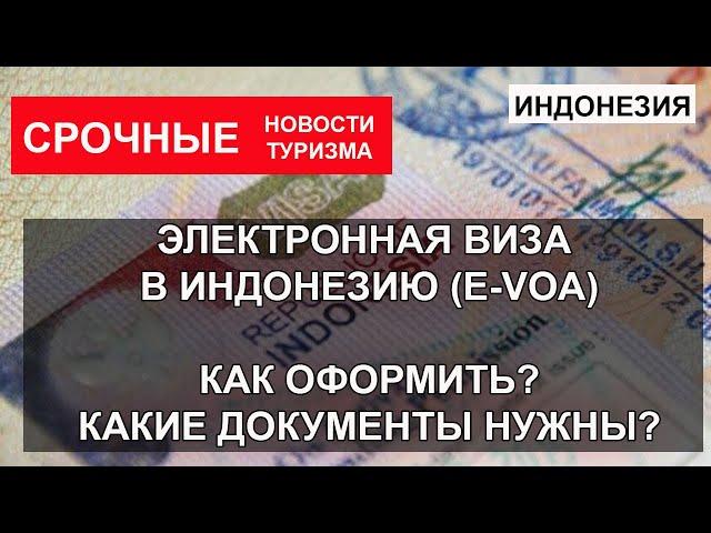 ВИЗА В ИНДОНЕЗИЮ| Оформление электронной визы на Бали. Какие документы, как оформить?