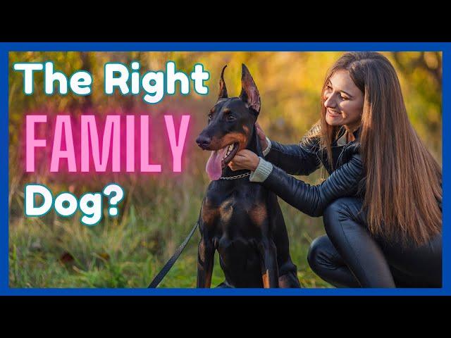 10 Reasons the Doberman is a Great Family Dog (+ 5 Reasons to Pass)