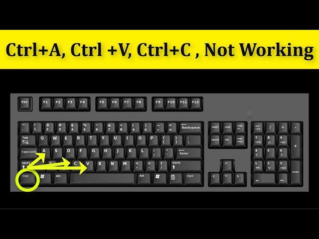 How To Fix Ctrl+A ,Ctrl+V, Ctrl+C Not Working Problem || Keyboard Not Working Problem Windows 10/8/7