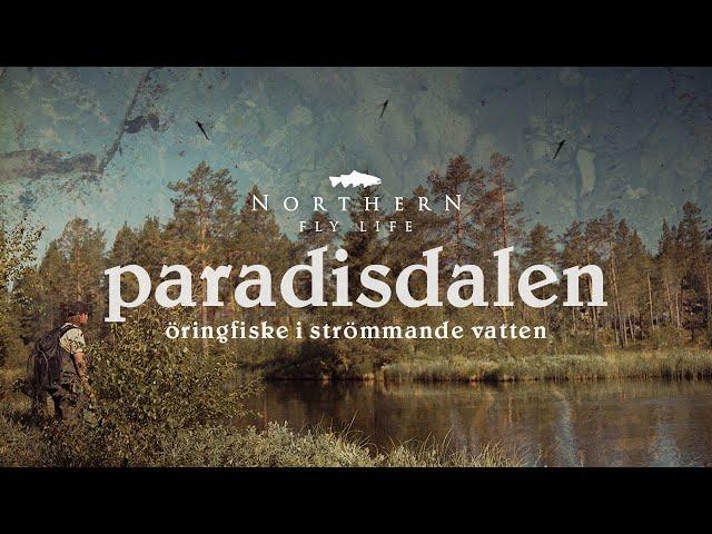 Flugfiske efter öring - paradisdalen