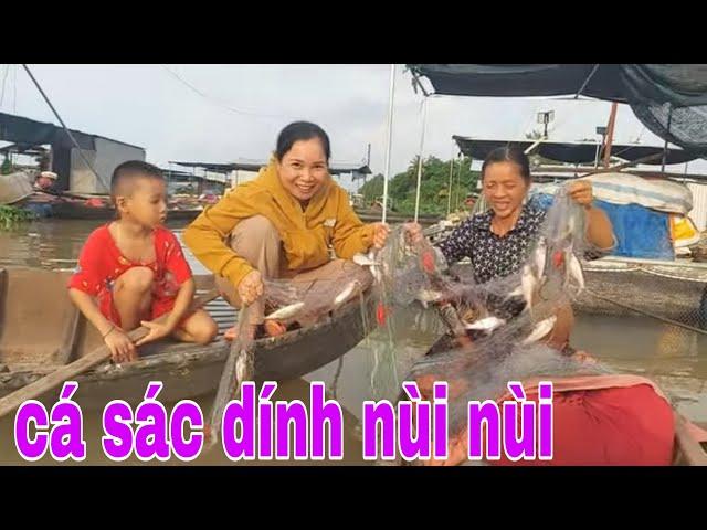 Lâu Rồi Mới Thấy Được Cảnh Này Cá Dính Nùi Nùi Xem Mát Mắt Luôn # SĂN BẮT ĐỒNG THÁP #